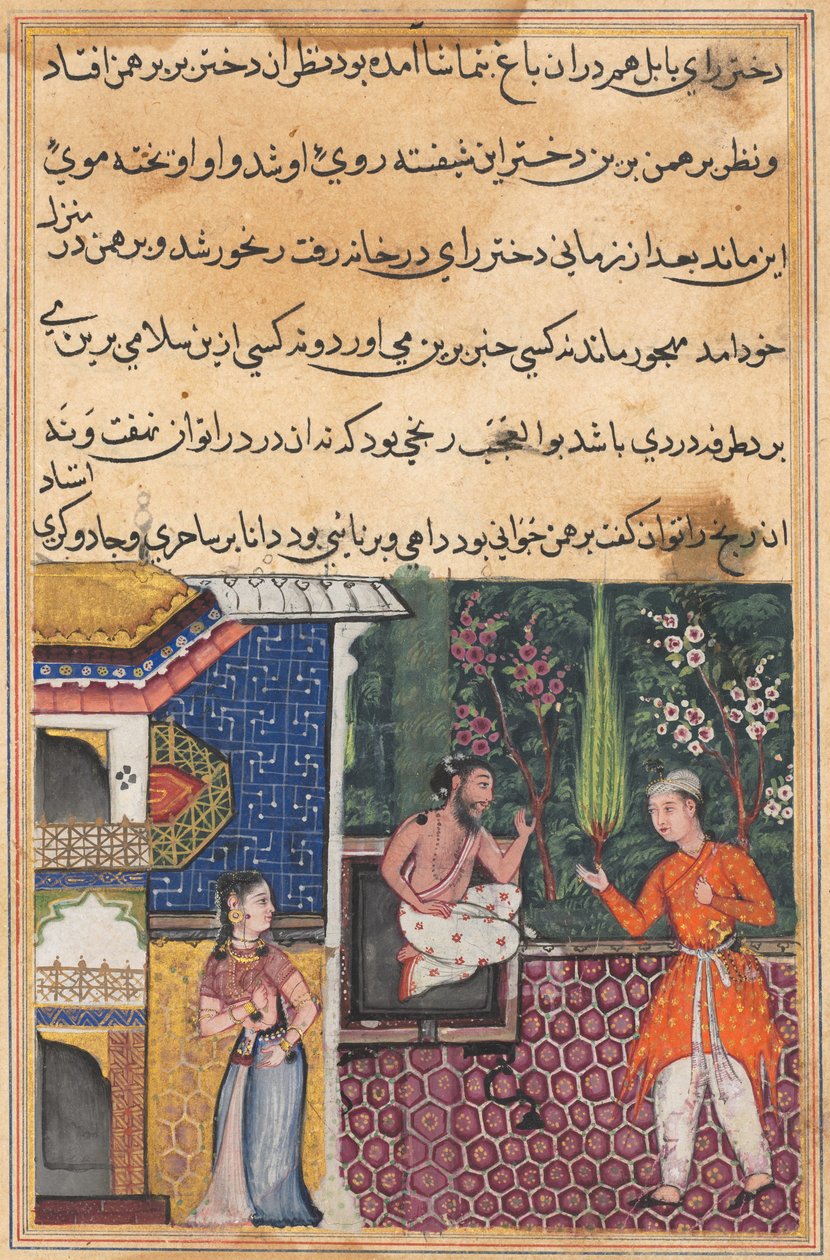 Seite aus den Geschichten eines Papageis Tuti-nama: Fünfunddreißigste Nacht: Der Brahmane gibt..., ca. 1560 von Unbekannt