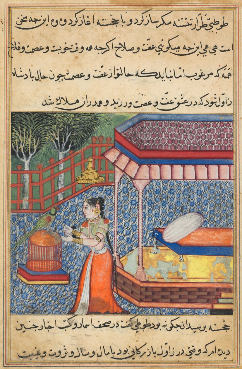 Seite aus Geschichten eines Papageis Tuti-nama: Sechsunddreißigste Nacht: Der Papagei spricht Khujasta an..., ca. 15. Jahrhundert von Unbekannt