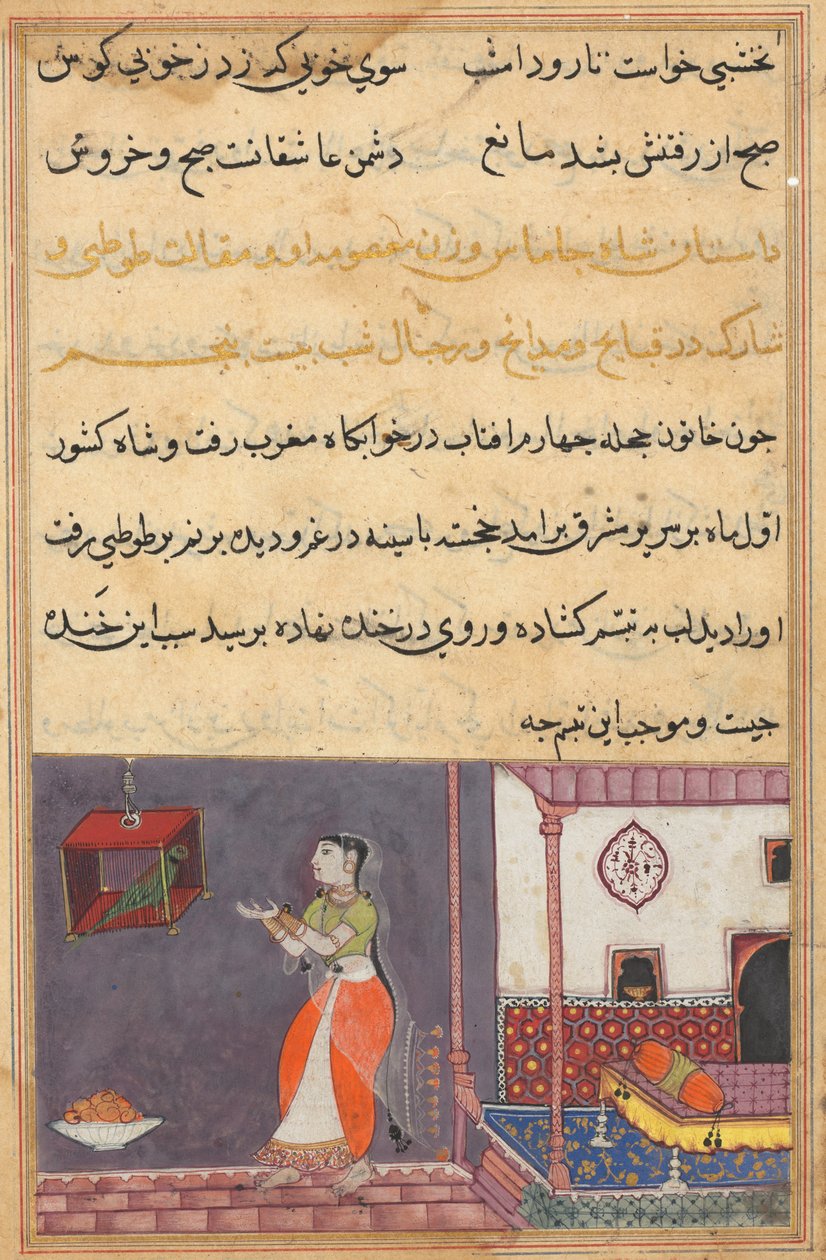 Seite aus Geschichten eines Papageis Tuti-nama: Fünfundzwanzigste Nacht: Der Papagei spricht zu Khujasta..., ca. 1560 von Unbekannt