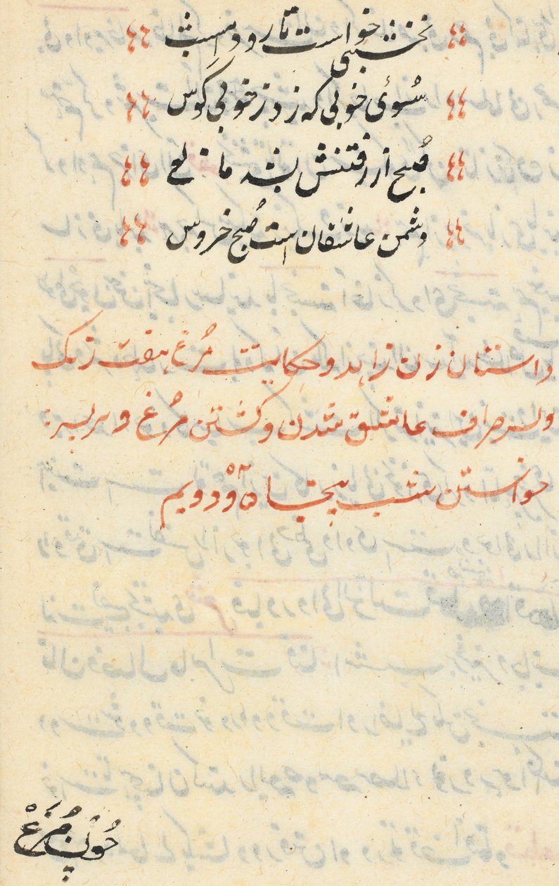 Seite aus den Geschichten eines Papageis Tuti-nama: Textseite, ca. 1560 von Unbekannt