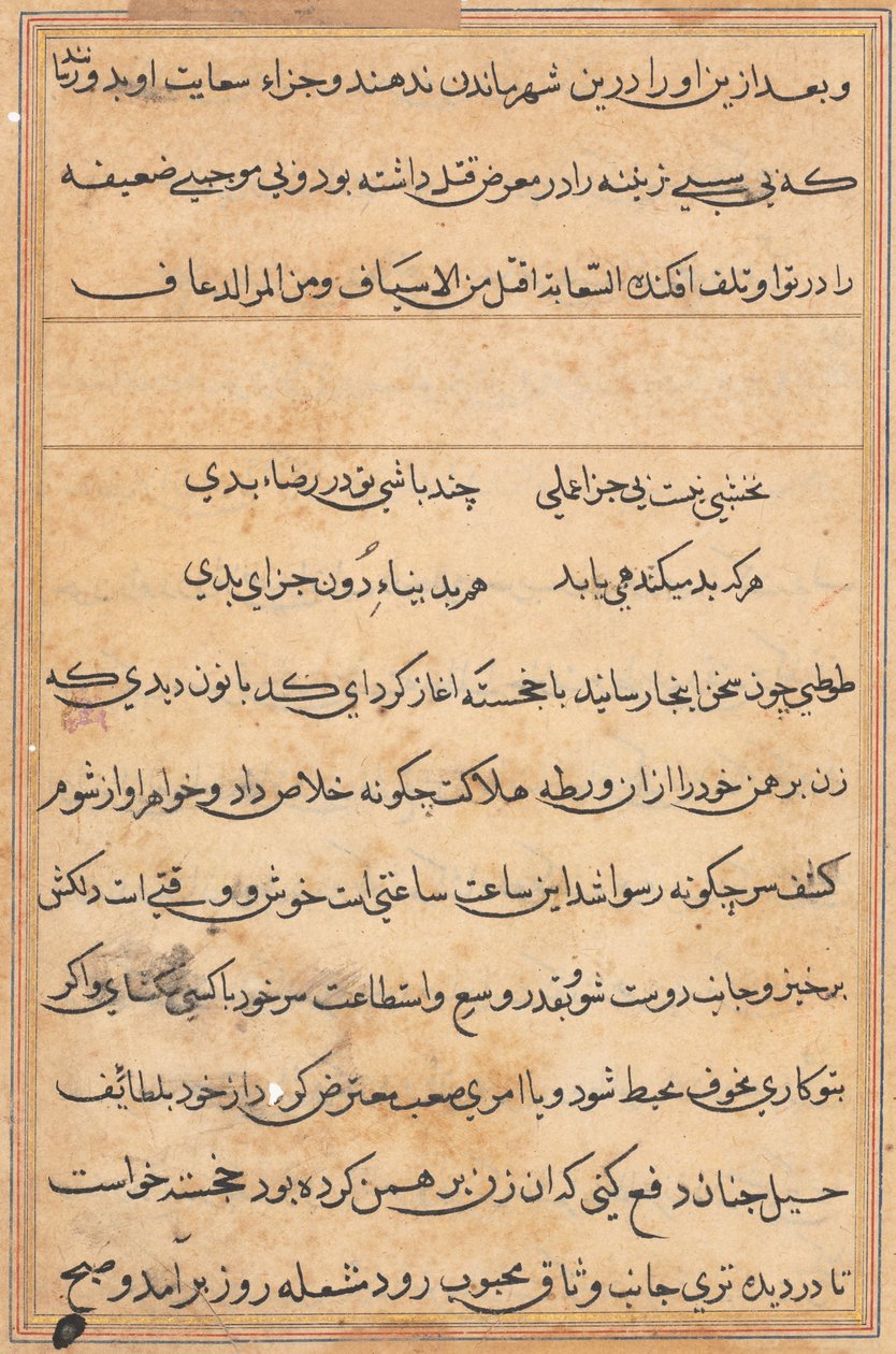 Seite aus den Geschichten eines Papageis Tuti-nama: Textseite, ca. 1560 von Unbekannt