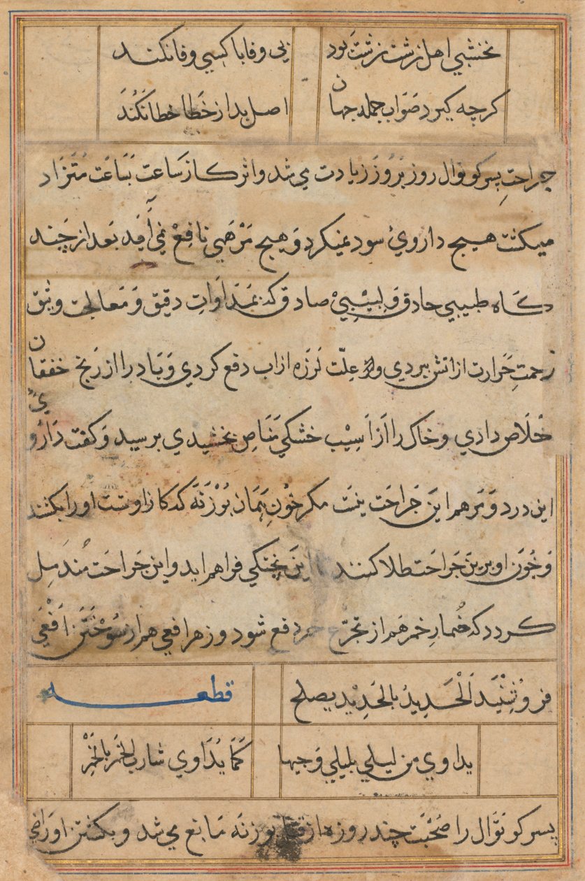 Seite aus Geschichten eines Papageis Tuti-nama: Textseite, ca. 1560 von Unbekannt