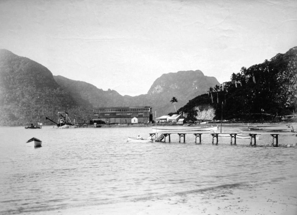 Pago Pago Hafen, auf der Insel Tutuila, Amerikanisch-Samoa, 1889 von Unbekannt