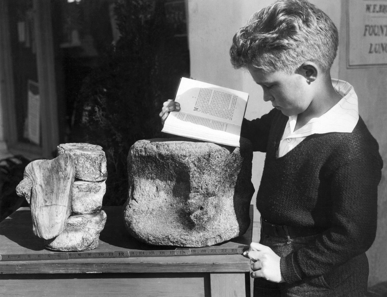 Palos Verdes, Kalifornien: ca. 1927 Ein Junge studiert Archäologie mit Hilfe eines fossilen prähistorischen Wirbels, der in den nahegelegenen Hügeln gefunden wurde. von Unbekannt