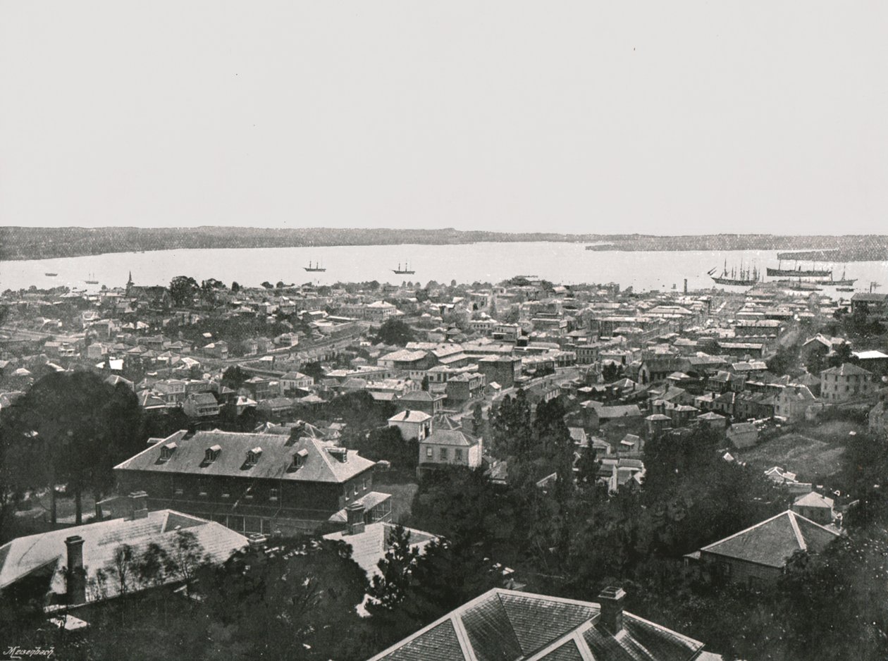 Panoramablick von den Hügeln, Auckland, Neuseeland, 1895 von Unbekannt
