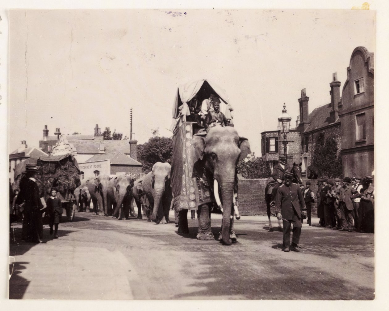 Parade der Elefanten, um 1905 von Unbekannt