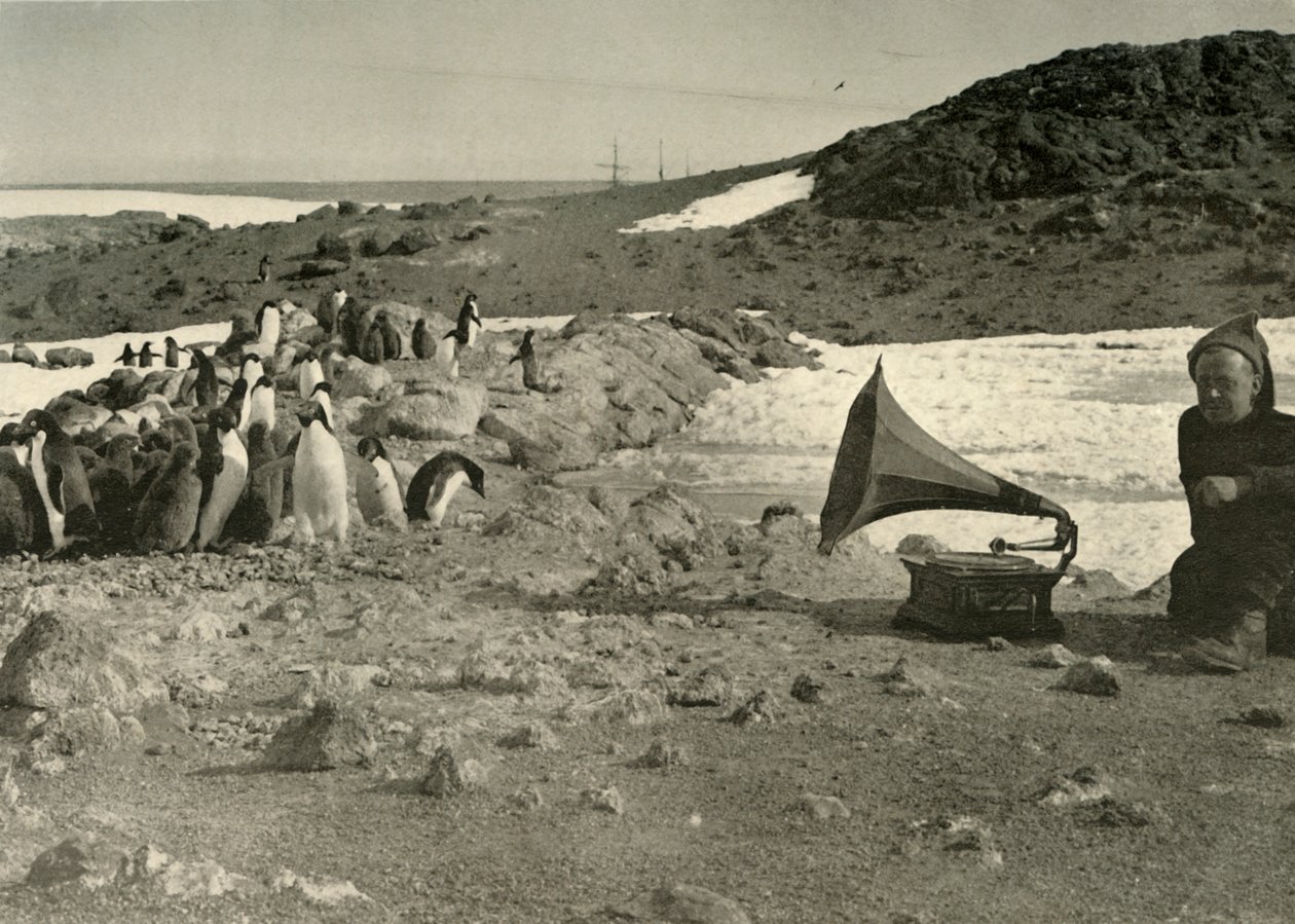 Pinguine hören im Sommer Grammophon von Unbekannt