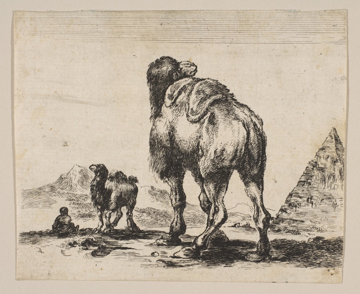Tafel 18: Kamel von hinten gesehen mit Pyramide rechts, aus Verschiedene Tiere, nach 1641 von Unbekannt