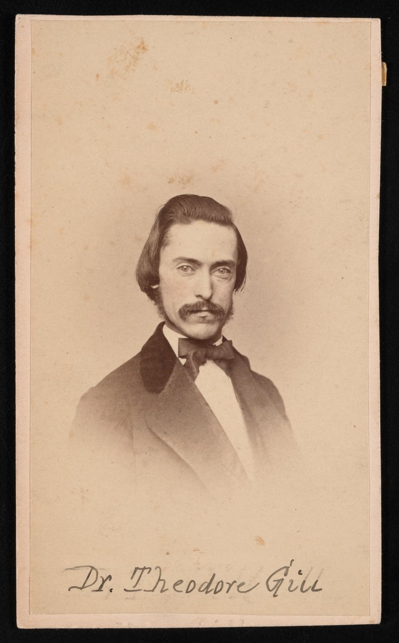 Porträt von Theodore Nicholas Gill 1837-1914, ca. 1860er Jahre von Unbekannt