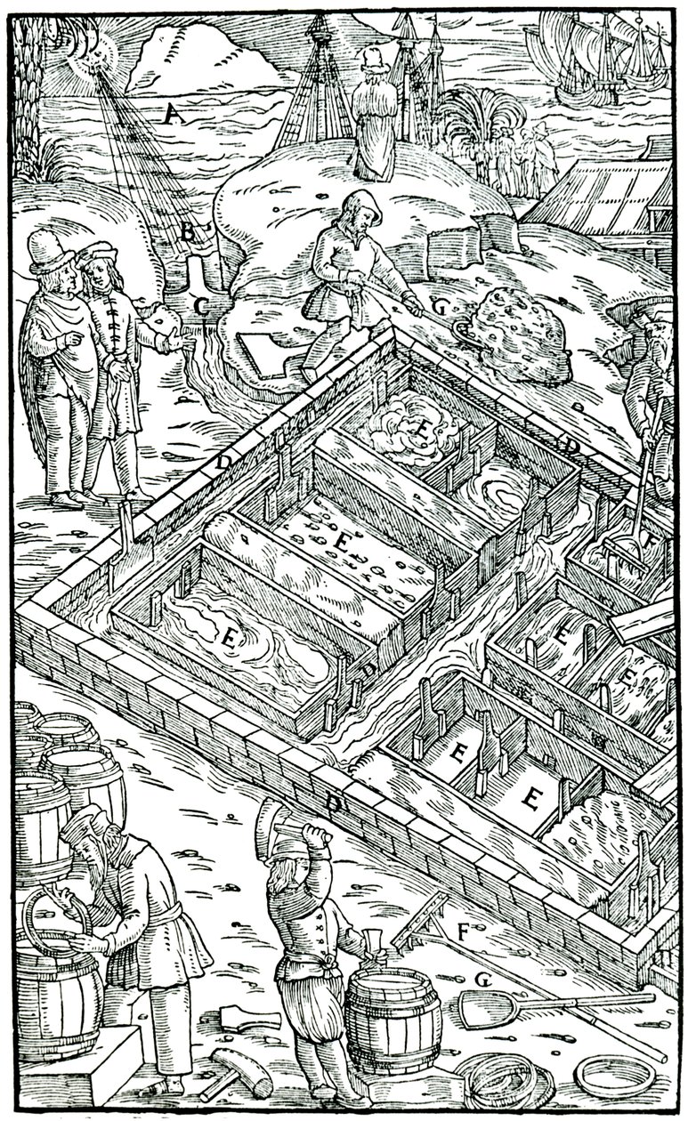Salzgewinnung durch Verdunstung von Meerwasser in Salinen, 1556 von Unbekannt