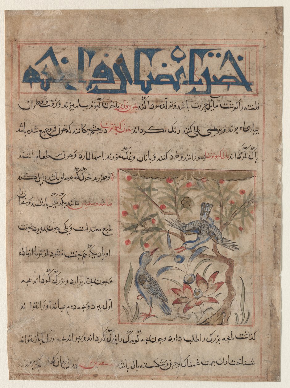 Eigenschaften von Ringeltauben recto, Über die Vorteile von Wachteln verso, ca. 1300 von Unbekannt
