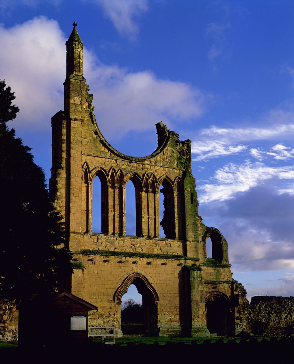 Überreste der Fassade, Byland Abbey, North Yorkshire von Unbekannt