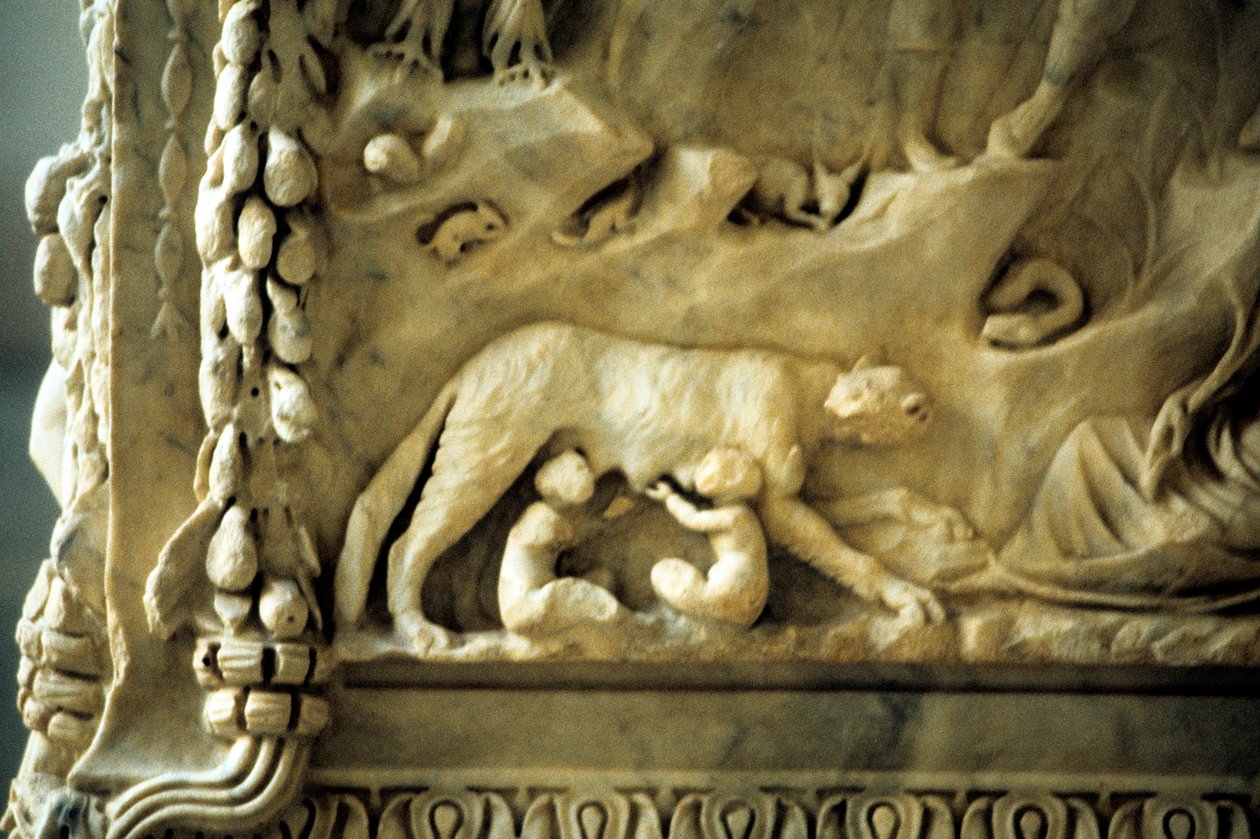 Romulus und Remus, gesäugt von der Wölfin von Unbekannt