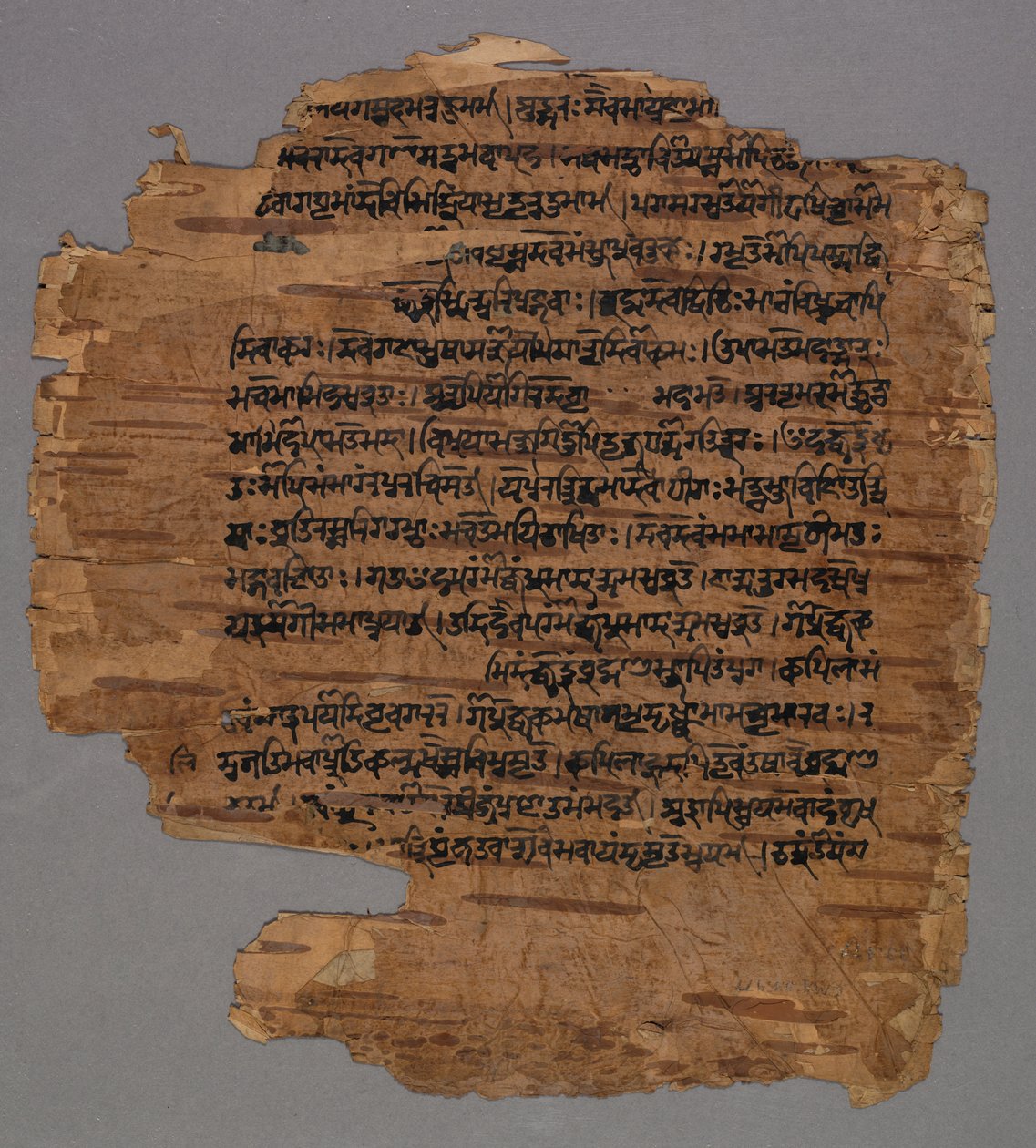 Sarada-Schrift, 1600er Jahre von Unbekannt