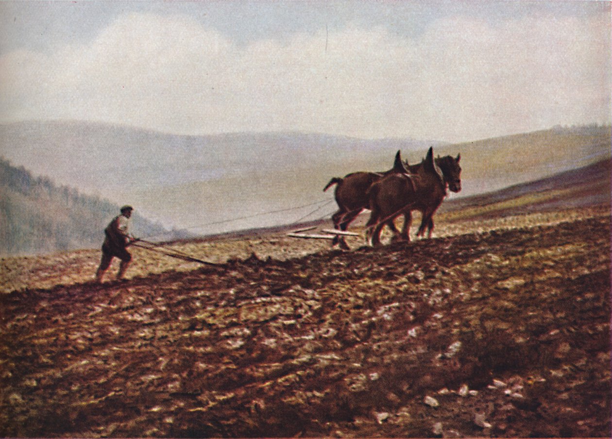 Schottland, ca. 1930er Jahre von Unbekannt