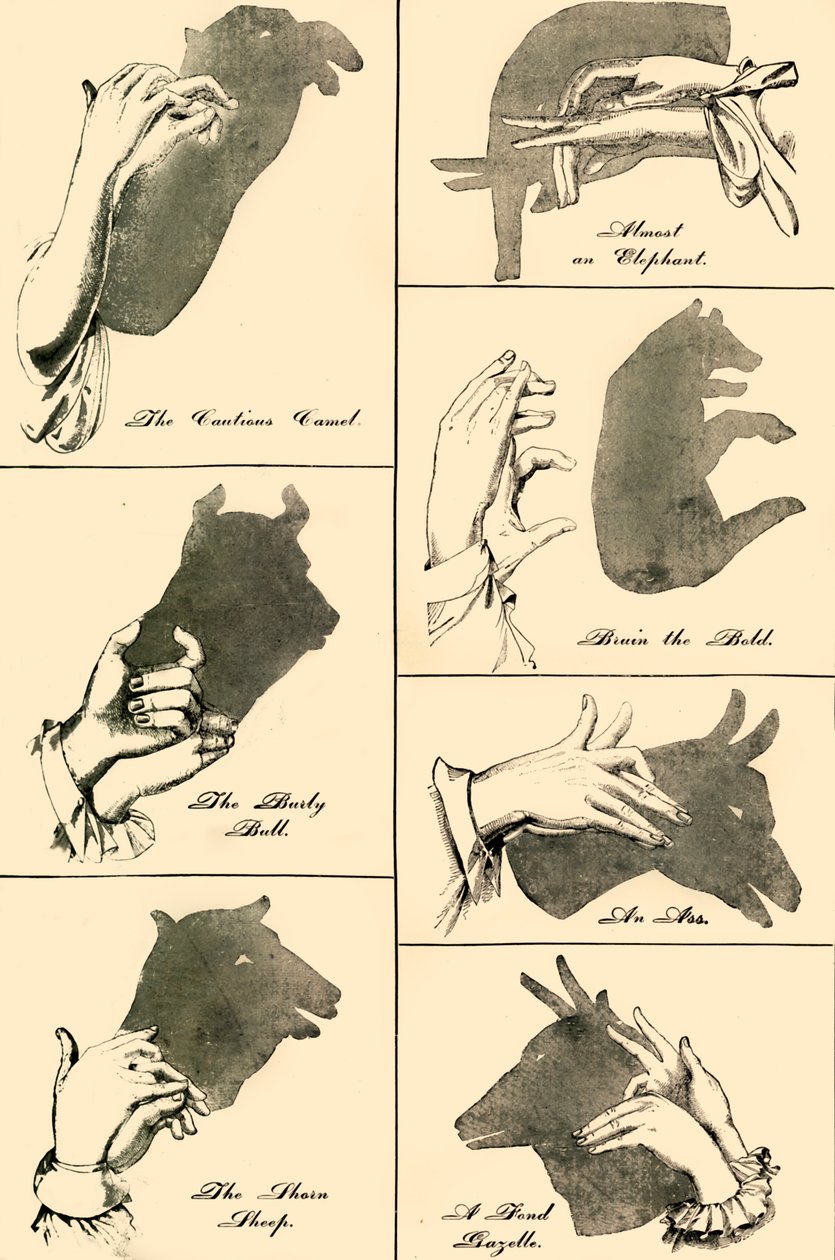 Schattenbilder und Silhouetten, 1883 von Unbekannt