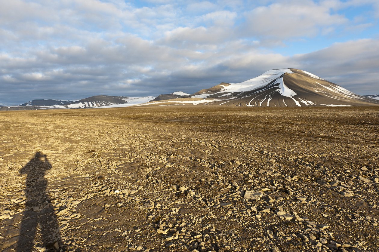 Schatten eines Menschen, polygonaler Strukturboden auf dem Plataberget, schneebedeckter Gipfel Nordenskjoeldfjellet im Hintergrund, nahe Longyearbyen, Spitzbergen, Svalbard, Norwegen, Europa von Unbekannt