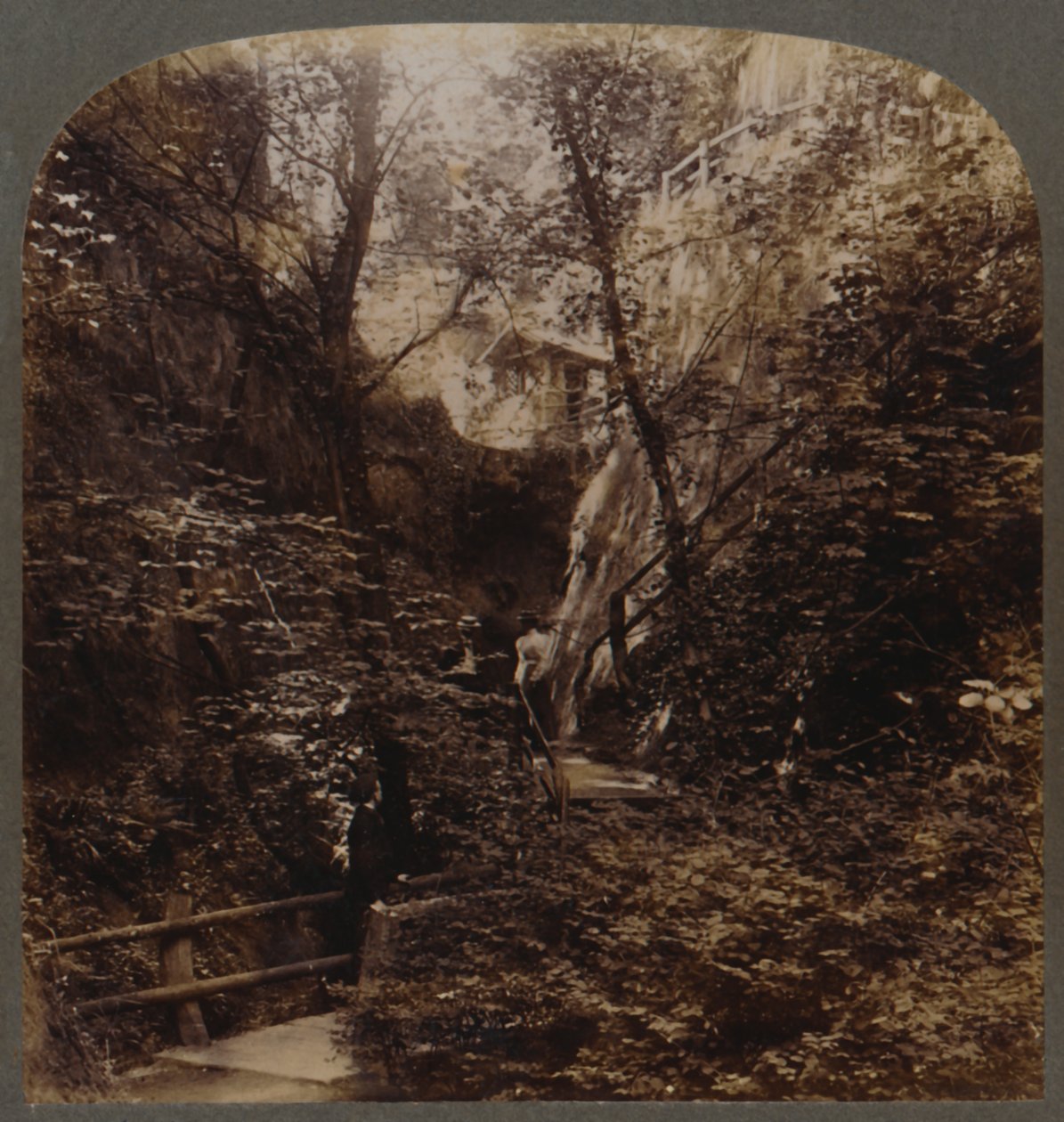 Shanklin Chine von weltweiter Berühmtheit, Isle of Wight, England, um 1910 von Unbekannt