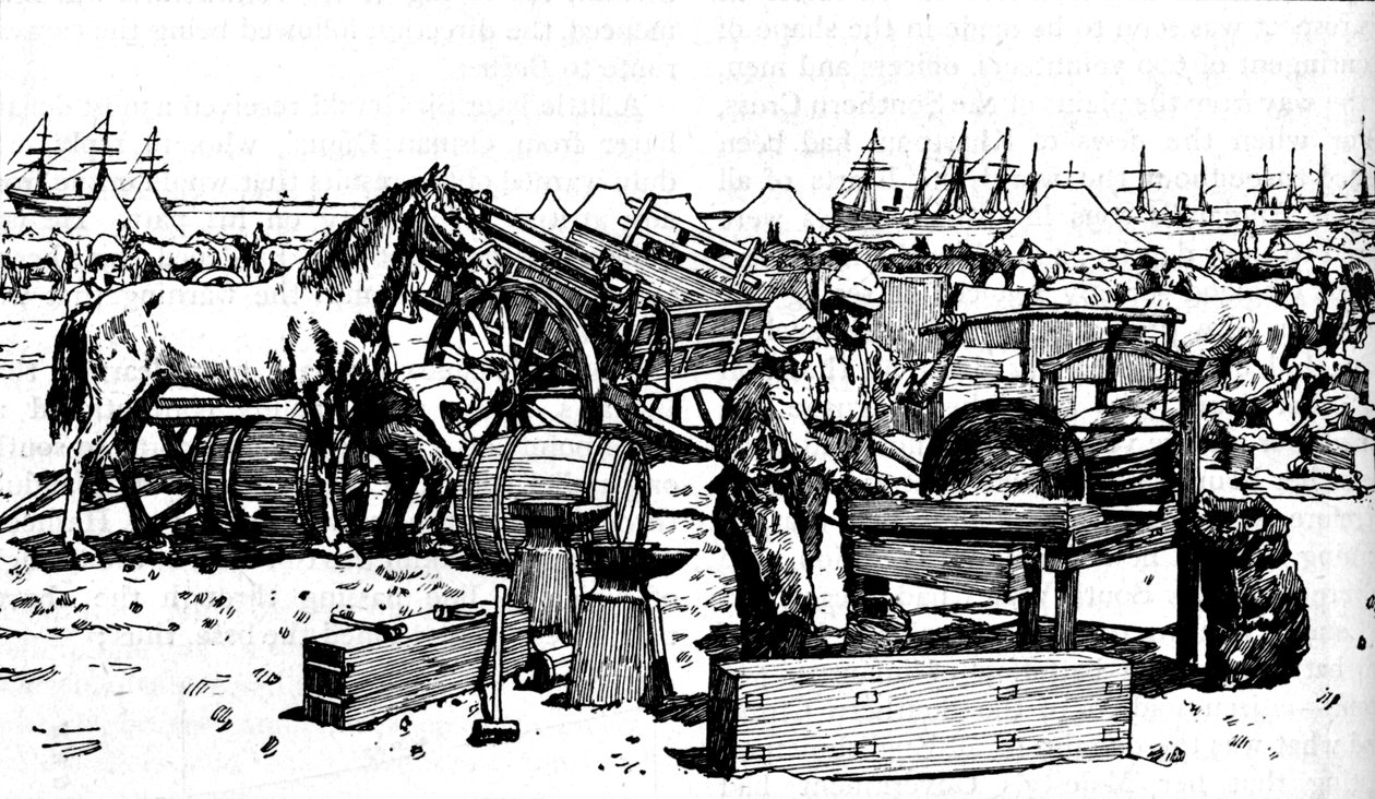 Hufschmiede der New South Wales Artillerie in Suakim, ca. 1885, 1902 von Unbekannt