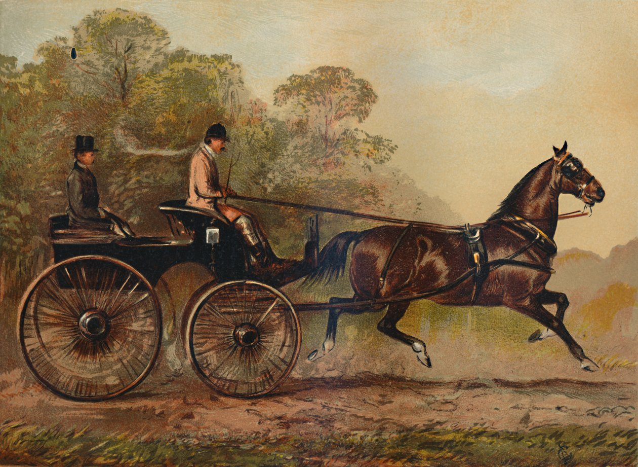 Einspänner-Phaeton-Pferd Columbine. Eigentum von Charles Baynes Esq., 1872, ca. 1879 von Unbekannt