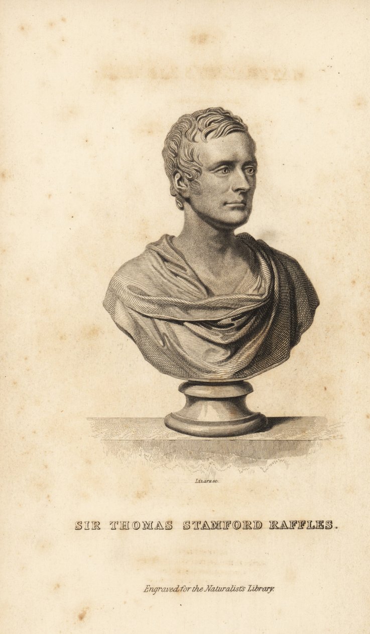Sir Thomas Stamford Raffles, britischer Staatsmann, Schriftsteller und Naturforscher von Unbekannt