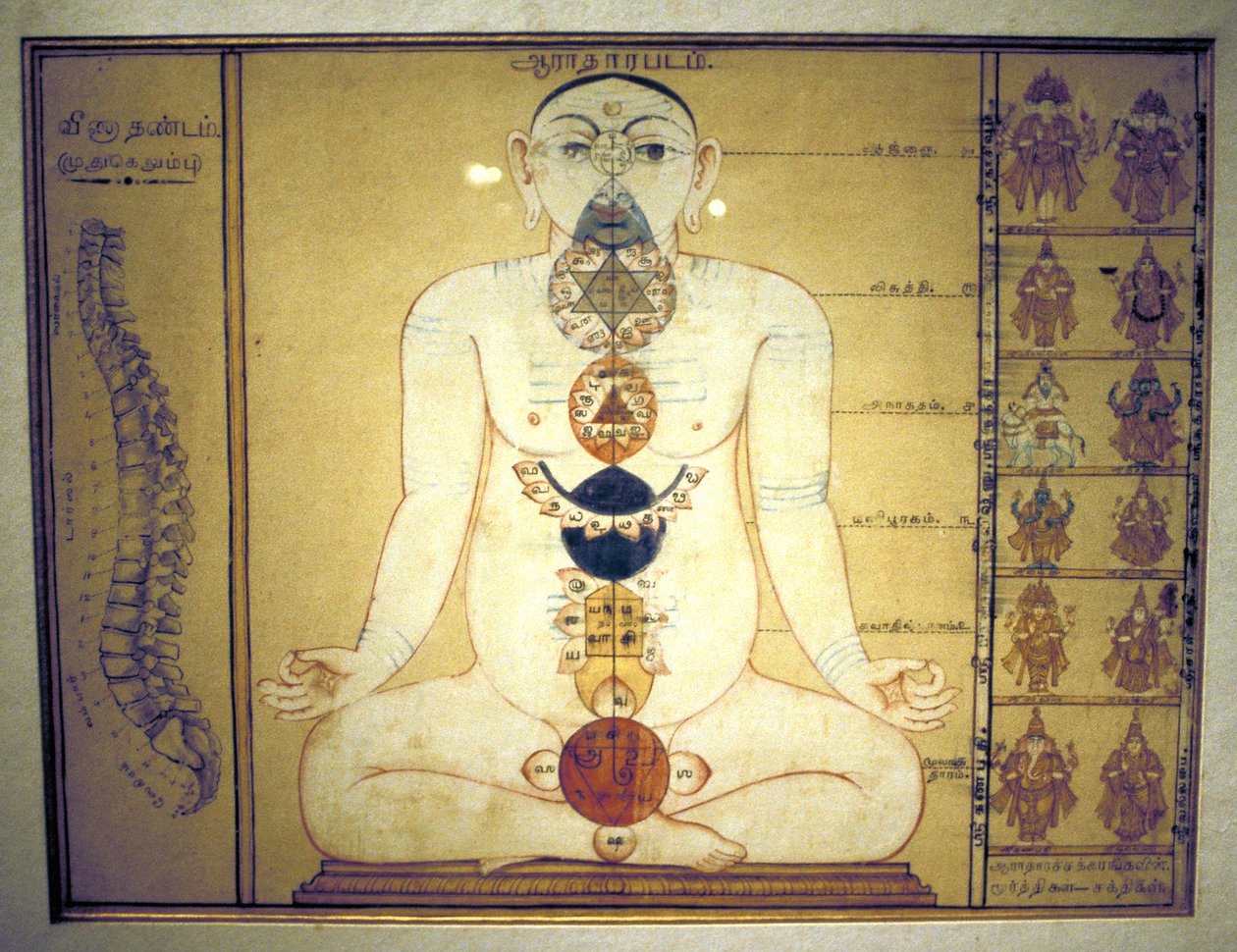 Sechs Chakras, die die Plexusse des menschlichen Körpers darstellen, Tanjore, Tamil Nadu, ca. 1850 von Unbekannt