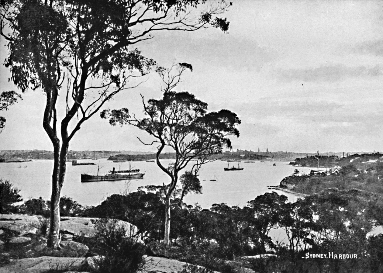 Sydney Harbour, von Cremorne Point, um 1900 von Unbekannt