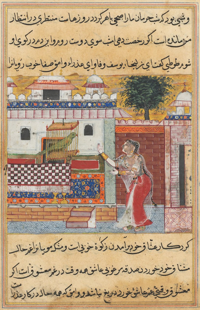 Geschichten eines Papageis Tuti-nama: Die zwölfte Nacht: Der Papagei spricht zu Khujasta..., ca. 1560 von Unbekannt