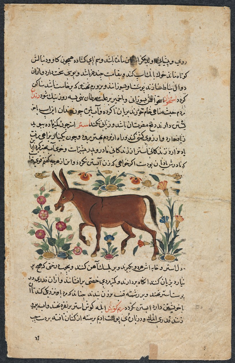 Textseite, persische Prosa Recto, Khar Ass Verso, 1400er von Unbekannt