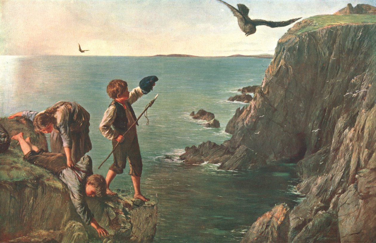 Der Bonxie, Shetland von Unbekannt