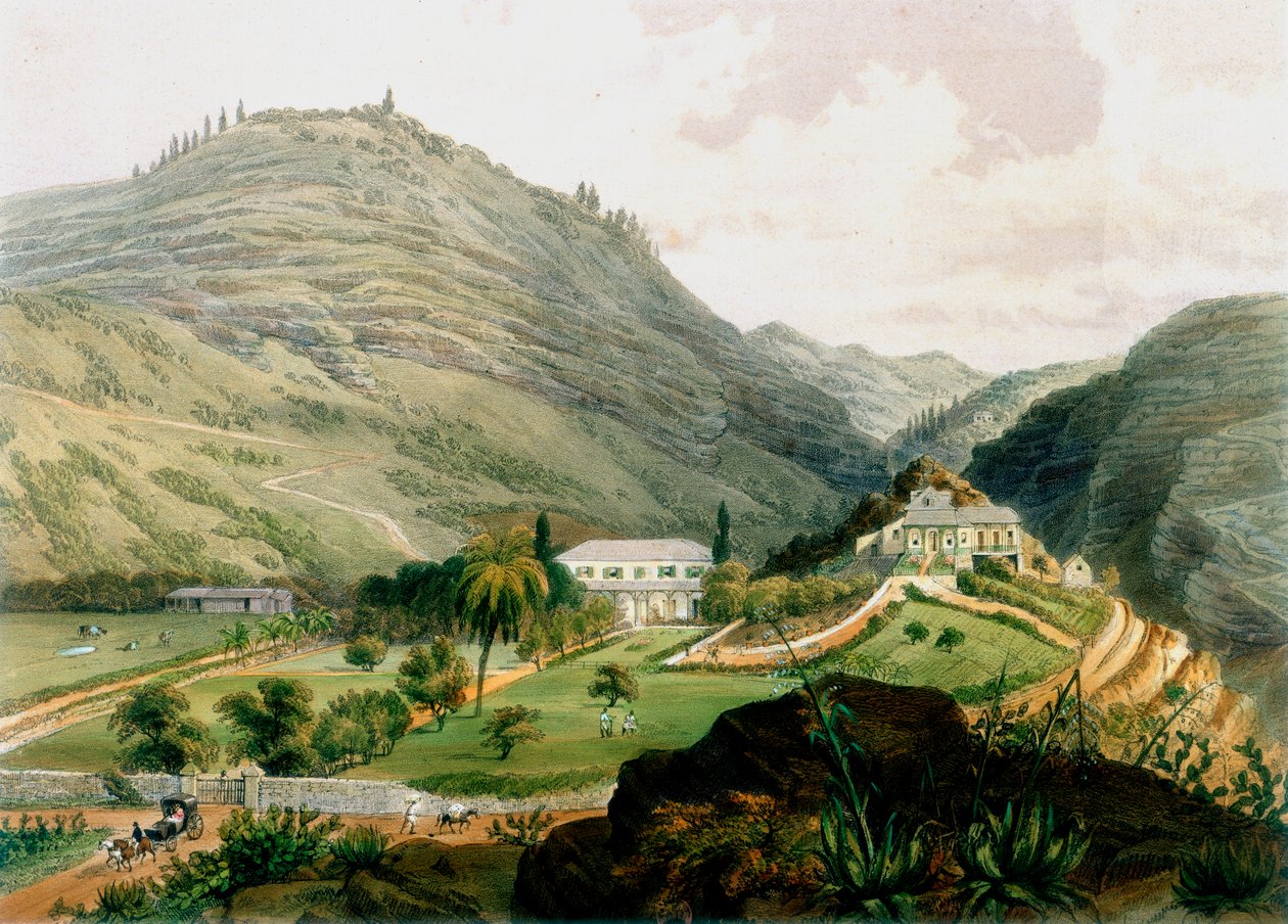 The Briars, St. Helena, frühes 19. Jahrhundert, 1851 von Unbekannt