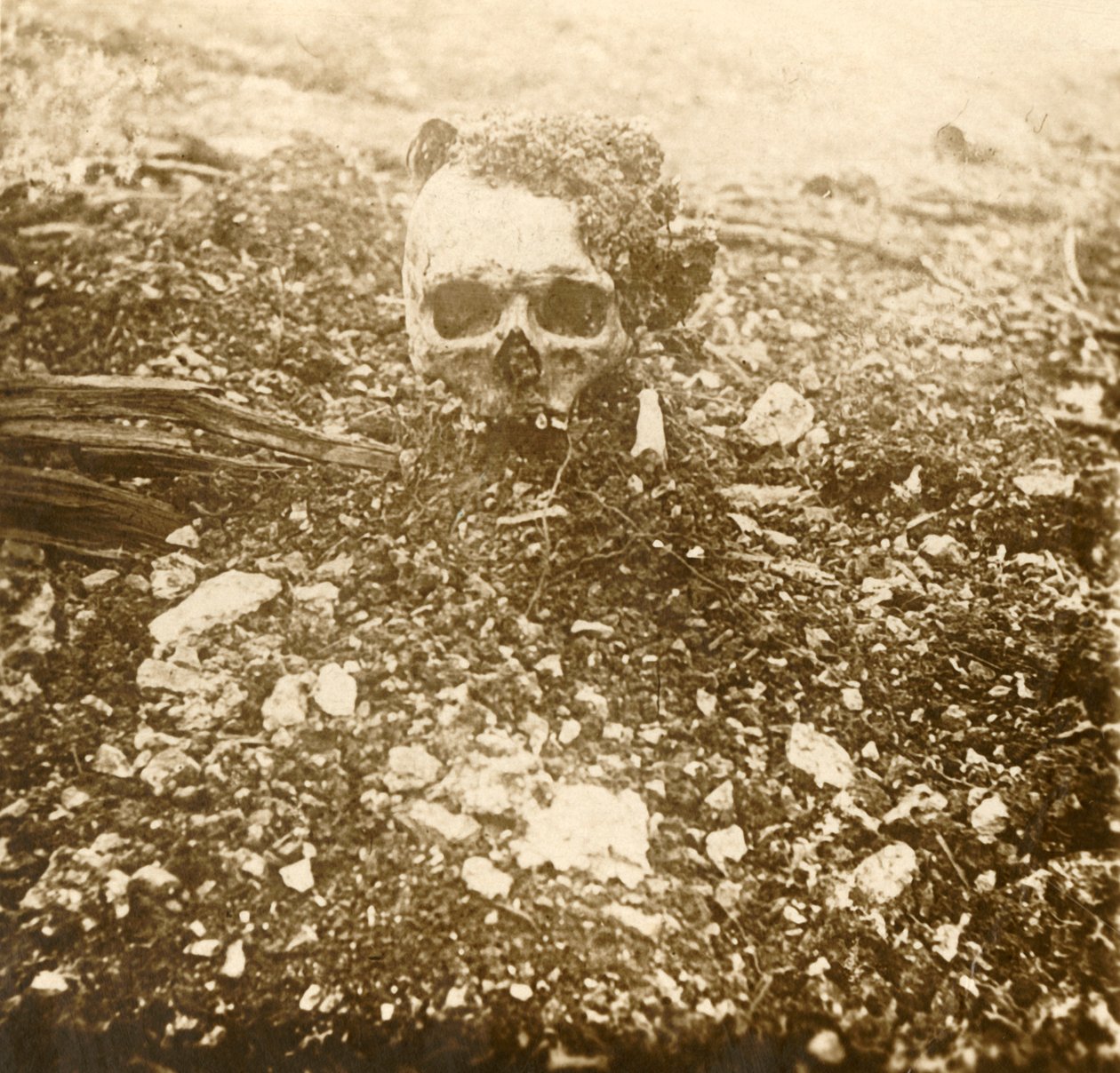 Der Kronprinz, Verdun, Nordfrankreich, 1916 von Unbekannt