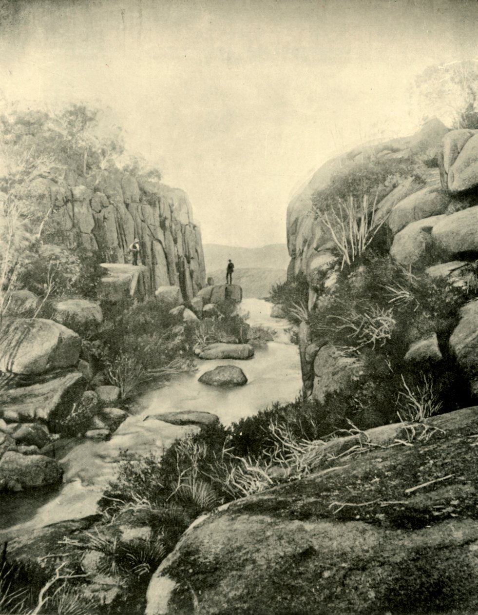 Die Schlucht, Buffalo Falls, Viktorianische Alpen, 1901 von Unbekannt