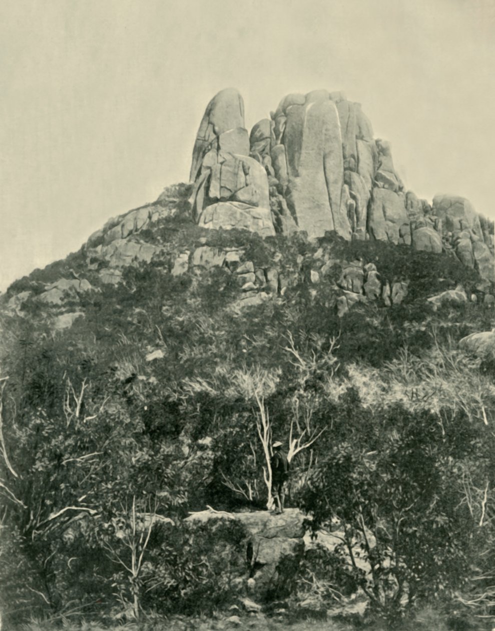 Der Buckel, Büffelberge, 1901 von Unbekannt