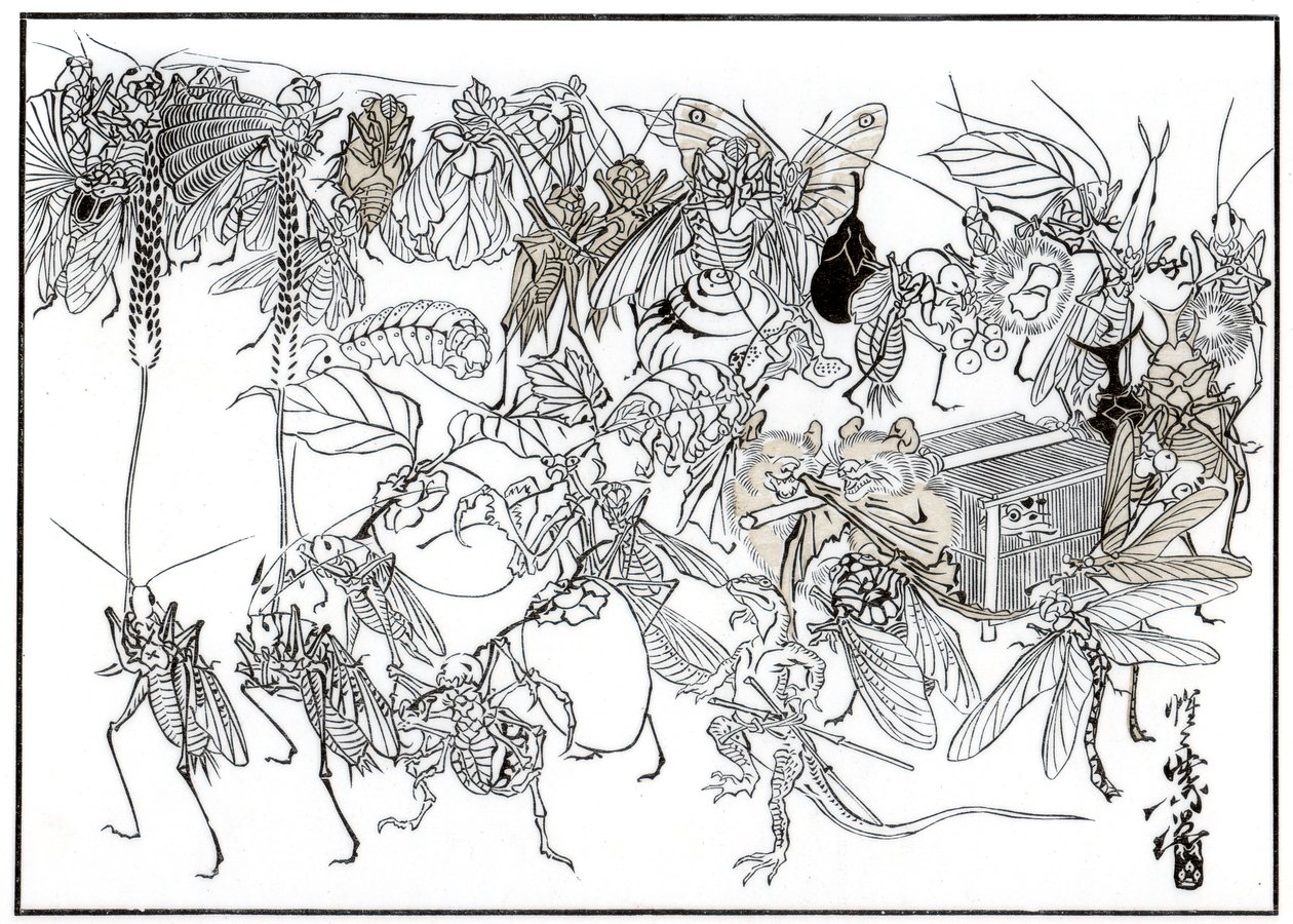 Der Insekten-Daimio-Kortège, 1878, 1886 von Unbekannt