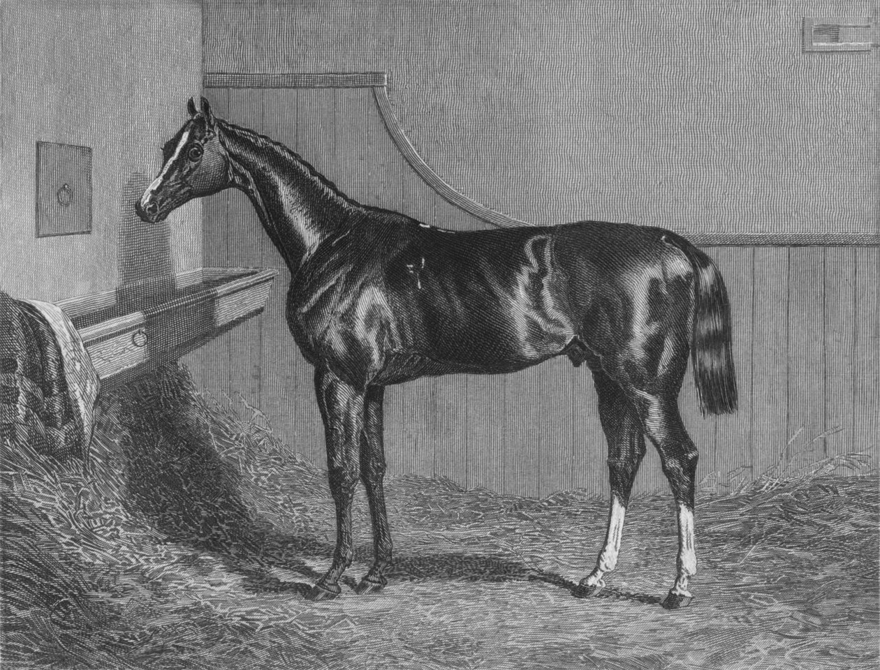 Der Rt. Hon. Der Earl of Lichfields Elis. Gewinner des St. Leger 1836, 1911 von Unbekannt
