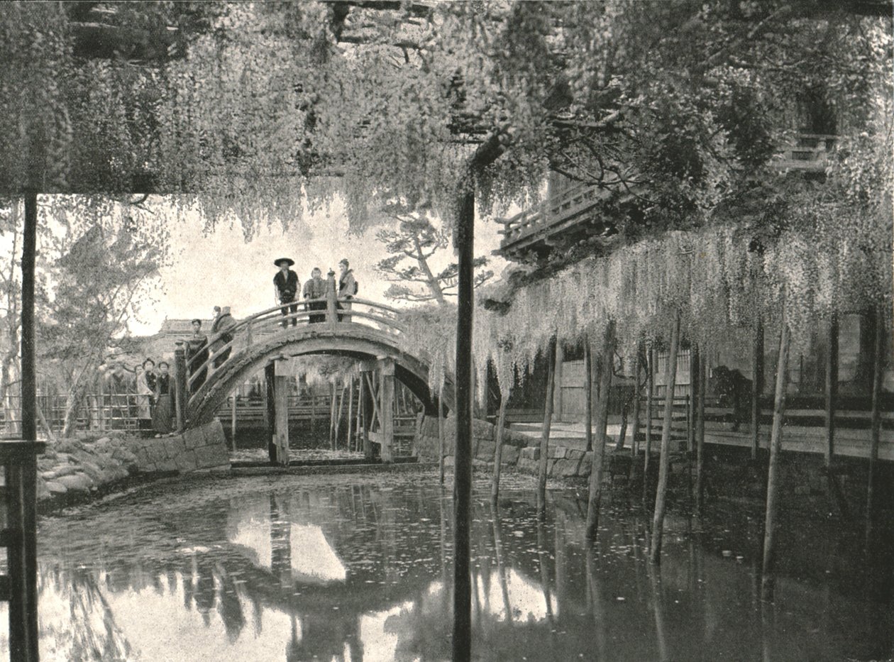 Der Shinji-No-Ike-Teich und Glyzinien, Kameido, Tokio, Japan von Unbekannt