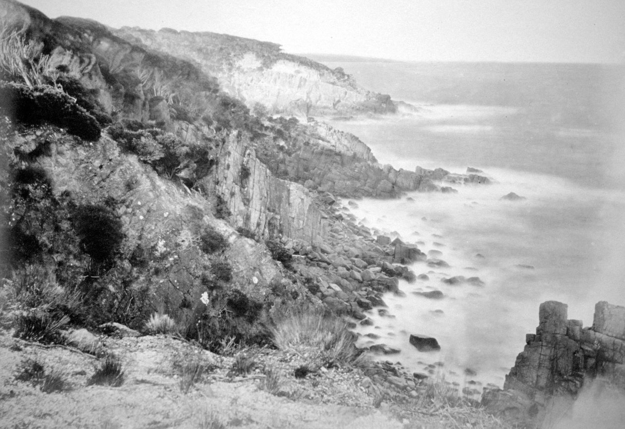 Die Küste um Port Jackson, New South Wales, Australien, 1885 von Unbekannt