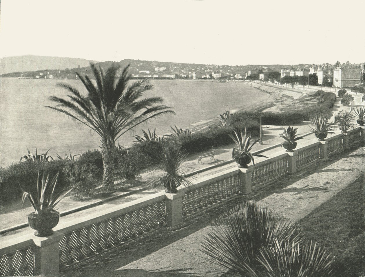 Das Panorama von La Croisette, Cannes, Frankreich, 1895 von Unbekannt