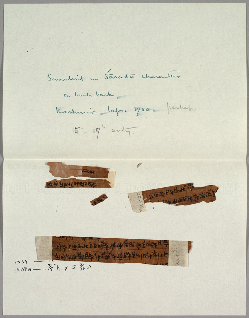 Zwei Fragmente von Rinde mit Sanskrit, vor 1700 von Unbekannt