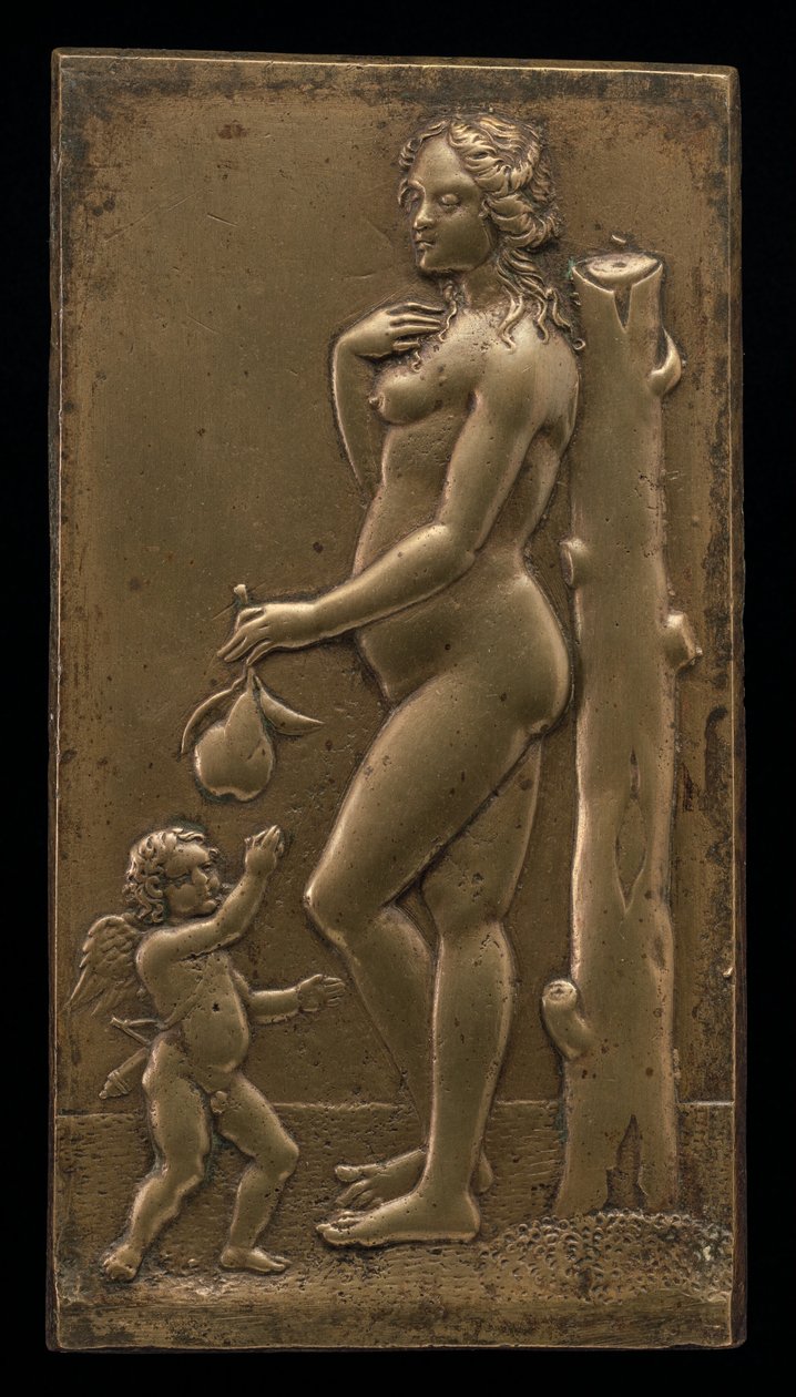 Venus und Amor von Unbekannt