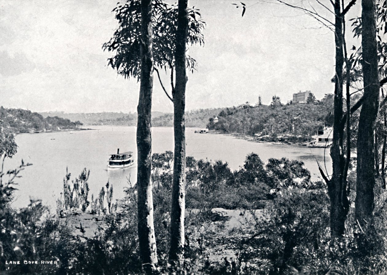 Blick auf den Lane Cove River, um 1900 von Unbekannt