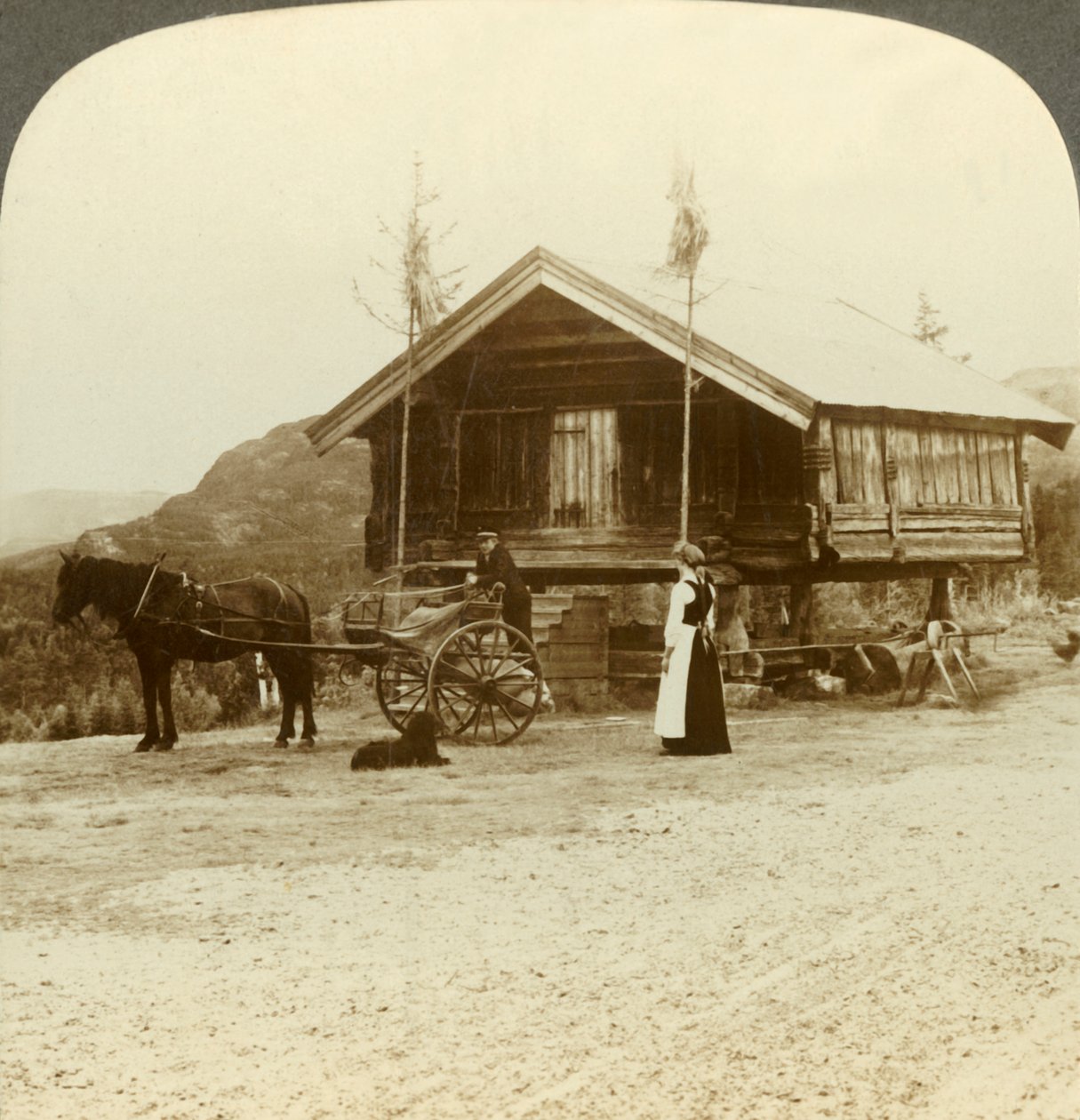 Warten auf Passagiere auf der Straße in der Nähe von Bolkesjo, Norwegen von Unbekannt
