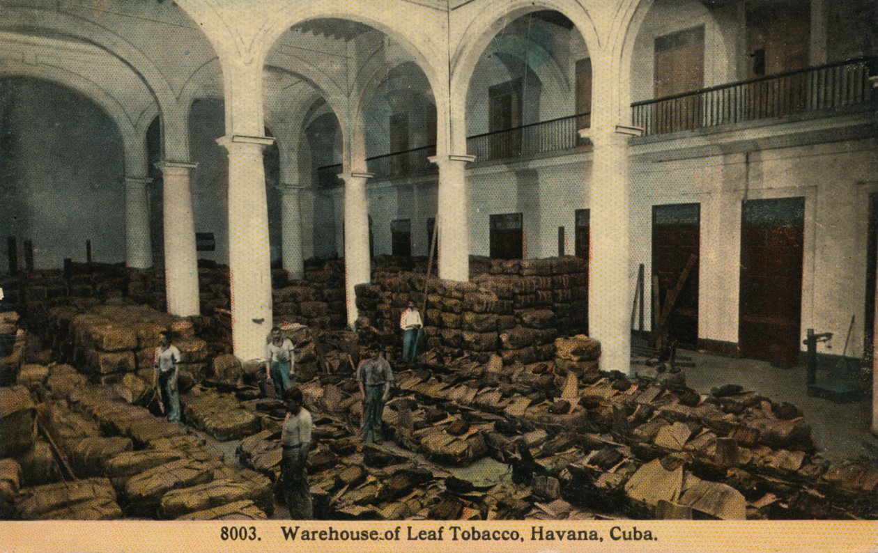 Lagerhaus für Tabakblätter, Havanna, Kuba, ca. 1910 von Unbekannt