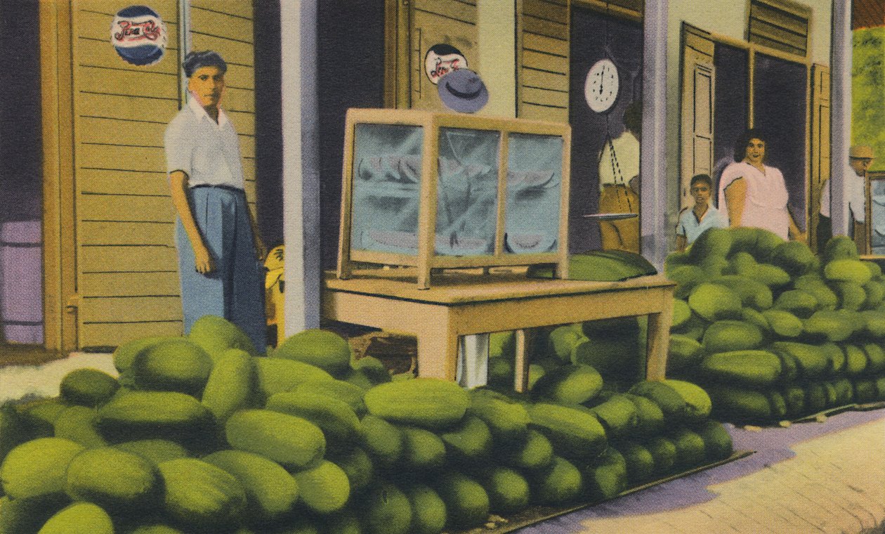 Wassermelonen zu verkaufen, Trinidad, B.W.I., ca. 1940er von Unbekannt