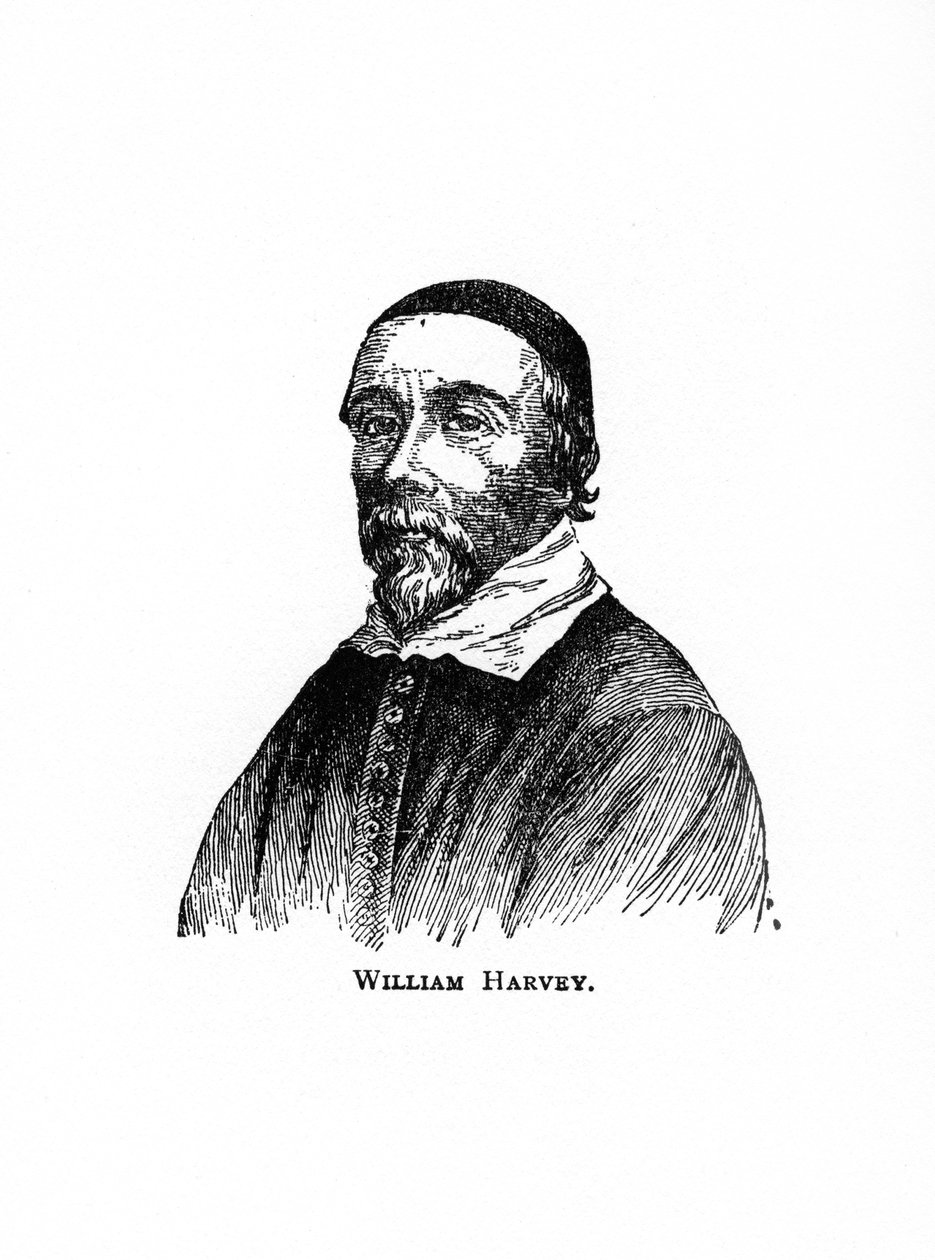 William Harvey, englischer Arzt des 17. Jahrhunderts, 20. Jahrhundert von Unbekannt