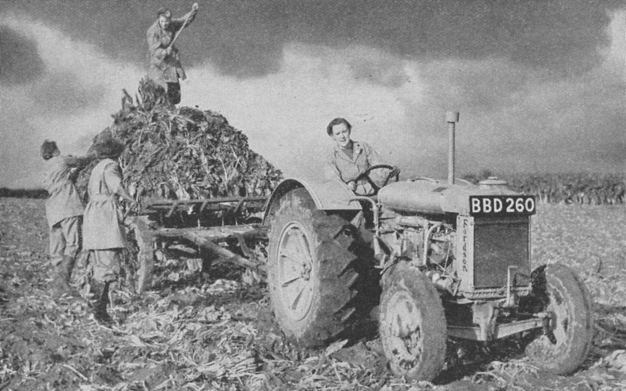 Frauenlandarmee hebt eine Ernte, Zweiter Weltkrieg, 1940 von Unbekannt