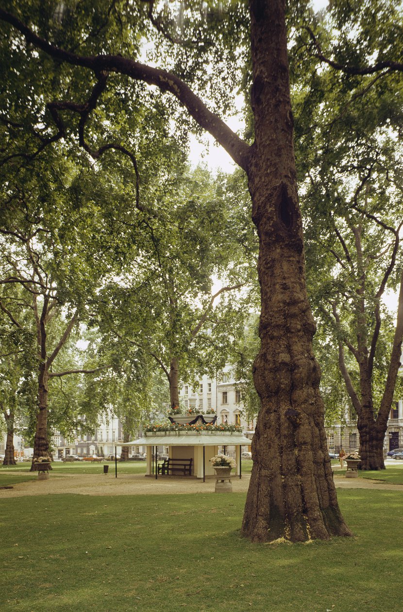 Berkeley Square, London W1 von Unbekannt Unbekannt