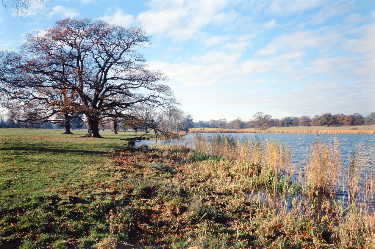 Blick auf den See, Corsham Court, Wiltshire von Unbekannt Unbekannt