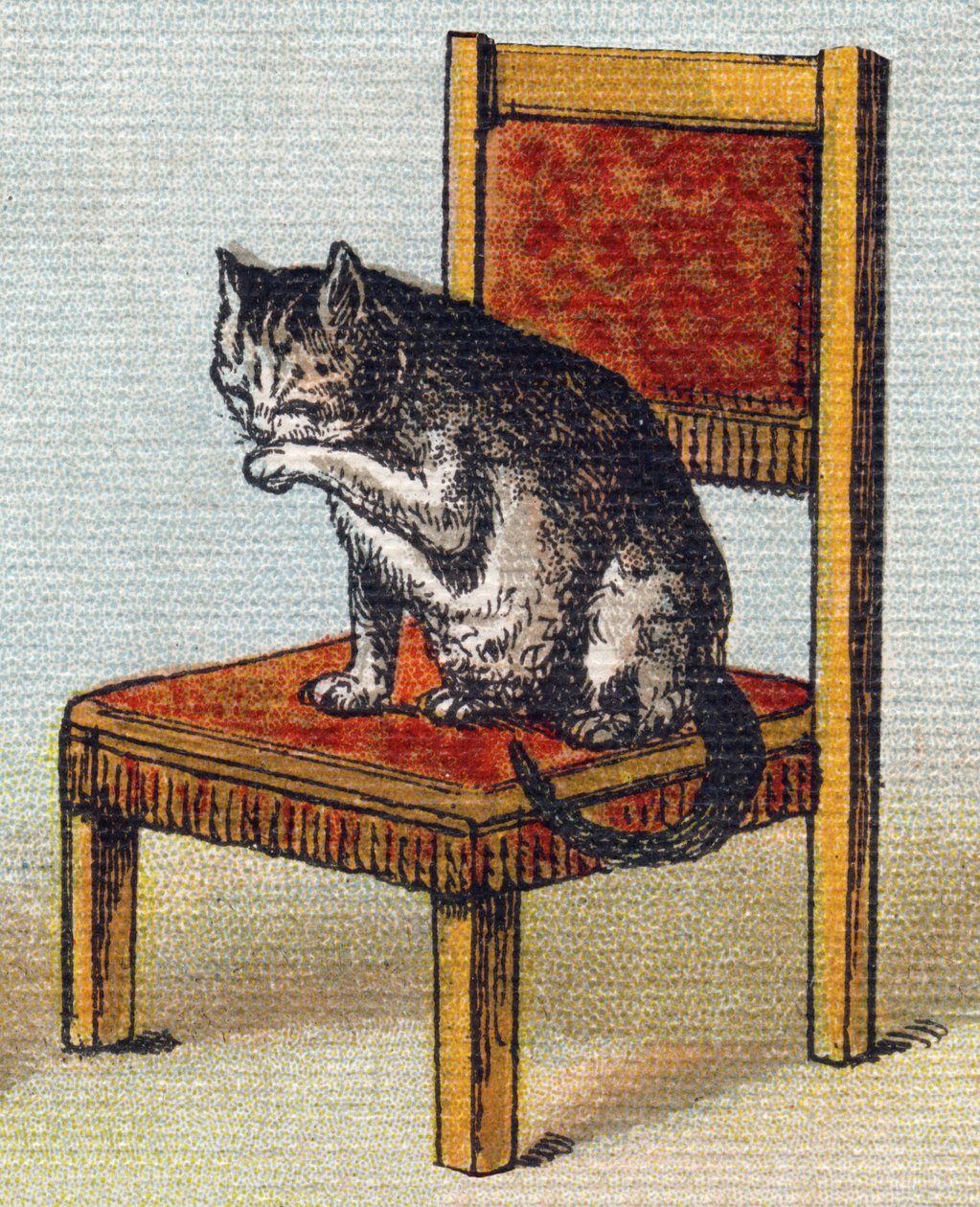 Eine Katze auf einem Stuhl. Gravur in "Alphabet de ma petite fille". Bernardin-Bechet und Fils, Buchhändler-Verleger, Paris, um 1895. von Unbekannt